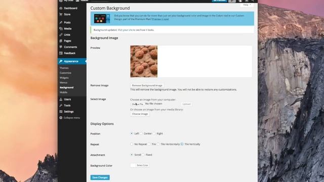 Change Background on Website | Wordpress Tutorial 8 смотреть онлайн