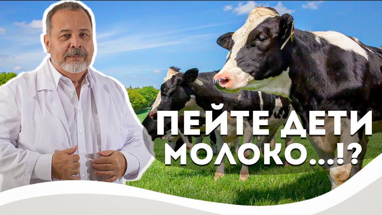 МОЖНО ЛИ ПИТЬ МОЛОКО И УПОТРЕБЛЯТЬ МОЛОЧНЫЕ ПРОДУКТЫ? / ПЕЙТЕ ДЕТИ МОЛОКО ...!? КОВАЛЬКОВ О МОЛОКЕ смотреть онлайн