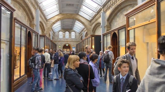 NATURAL HISTORY MUSEUM LONDON (4K) смотреть онлайн