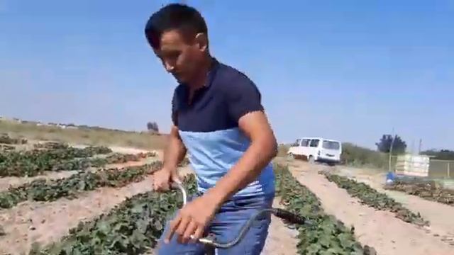 Шөп шабатын құрал смотреть онлайн