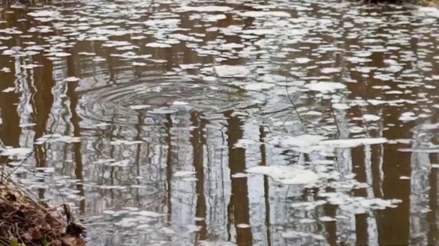 Щука мечет икру аж деревья трясутся. Второй день икромёта. смотреть онлайн