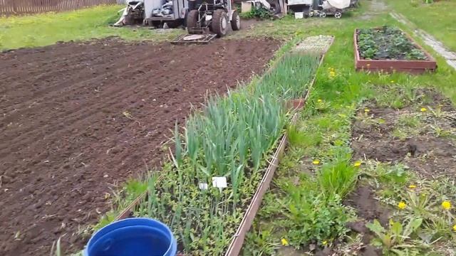 Бороним мал-помалу. смотреть онлайн