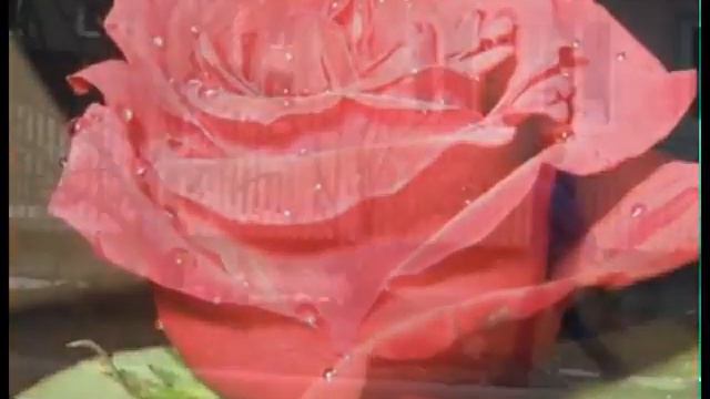 видео маме смотреть онлайн