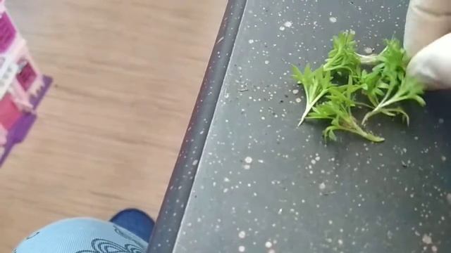 Строительные Перемены