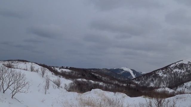 Охота на зайца Беляка. смотреть онлайн