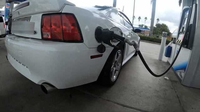 POV drive in my FBO 2004 Mustang GT! | Straight piped, Hard pulls and Down shifts! смотреть онлайн