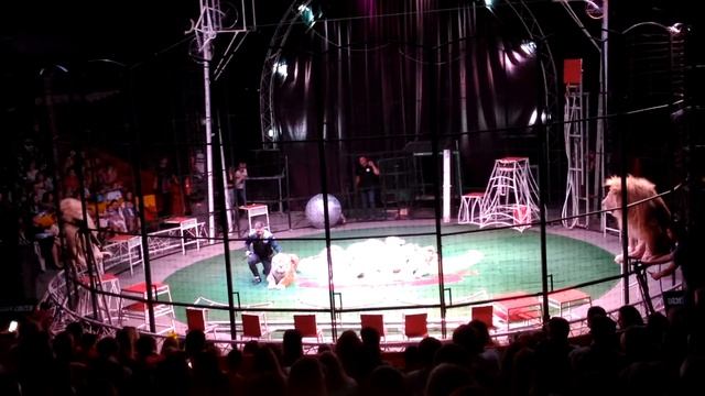 Цирк Демидовых в Магнитогорске