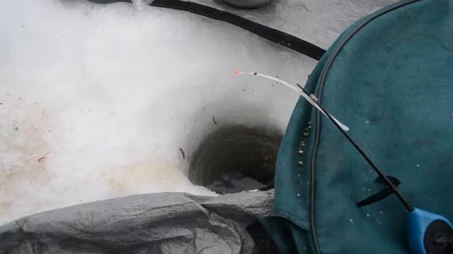 Чулым. Старая Еловка смотреть онлайн