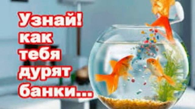 не знаю чем платить кредиты смотреть онлайн