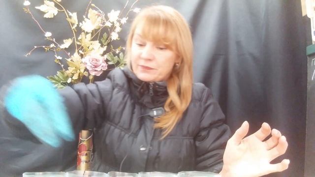 Иссоп выращиваем из семян. смотреть онлайн