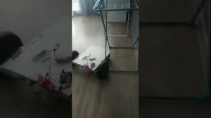 Телега из гироскутера на радиоуправлении с ардуино