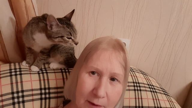 Безуспешно хотела стать блондинкой Кошка которая ничего не боится смотреть онлайн