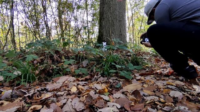 Vlog balade en forêt+présentation de mon appareil photo смотреть онлайн