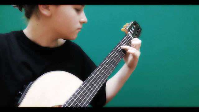 Giorgio Moroder - Love Theme From Flashdance (guitar cover) смотреть онлайн