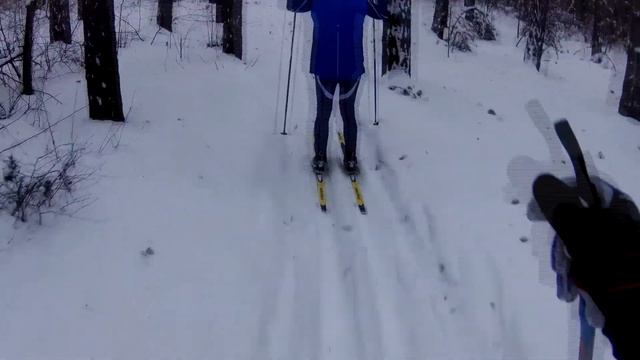Тренировка классическим передвижением на лыжах. смотреть онлайн