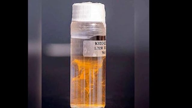 How Does World’s Oldest Water Taste?: Scientists Taste 2.6 Billion Years Old Water смотреть онлайн