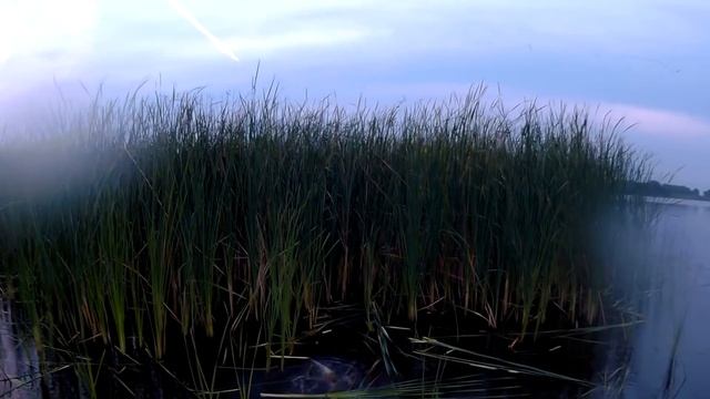 Упал в воду. Мокрая ОХОТА НА УТКУ. duck hunting 10.09.2018 смотреть онлайн