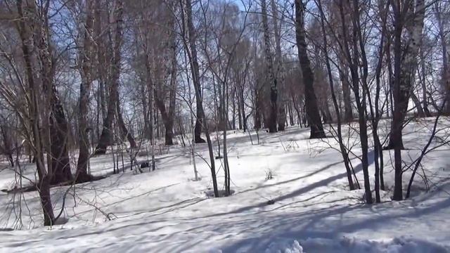 Петрушиная грива смотреть онлайн