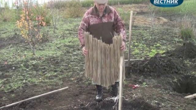 "В помощь садоводам" Посадка плодовых деревьев Часть3 смотреть онлайн