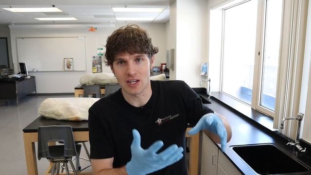 The Female Reproductive Cycle - Period Cramps | Part 1 смотреть онлайн