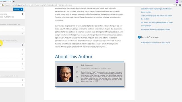 Full Author Box Customization смотреть онлайн