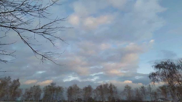 МУДРЫЙ НАУМОВ ДЕНЬ 14 декабря. Чтобы не началась ПОЛОСА НЕВЕЗЕНИЯ.Приколите БУЛАВКУ на одежду смотреть онлайн