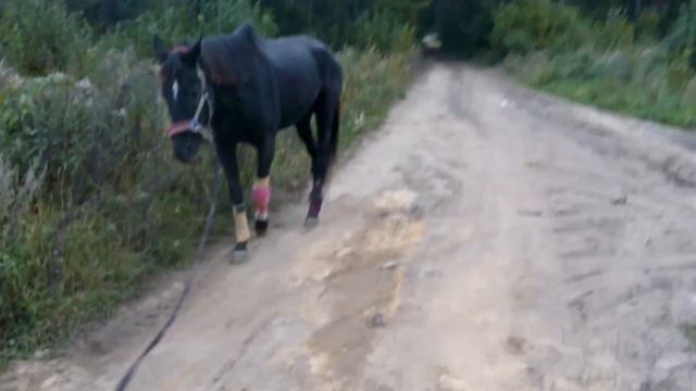 Гипатия 01.10.17 смотреть онлайн