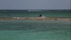 Остров на троих