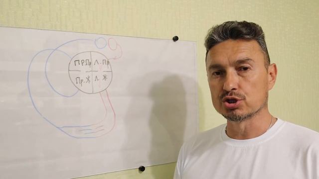 ДАВЛЕНИЕ И СКОРОСТЬ ДВИЖЕНИЯ КРОВИ В СОСУДАХ | биология ЕГЭ ОГЭ смотреть онлайн