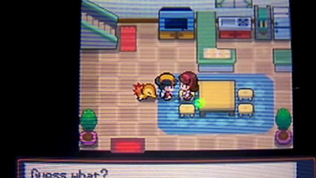 Shiny cyndaquil (almost failed) after about 2,000 starters on Soul Silver смотреть онлайн