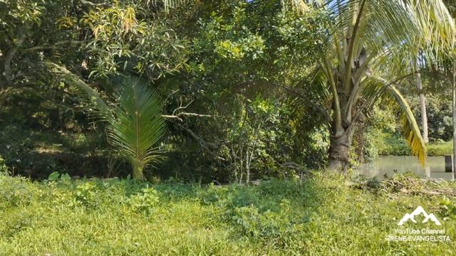 (PROPERTY # 18) PHP 250 PER SQM ONLY - 1.2 HECTARES FARM LOT IN LAGUNA WITH SPRING! смотреть онлайн