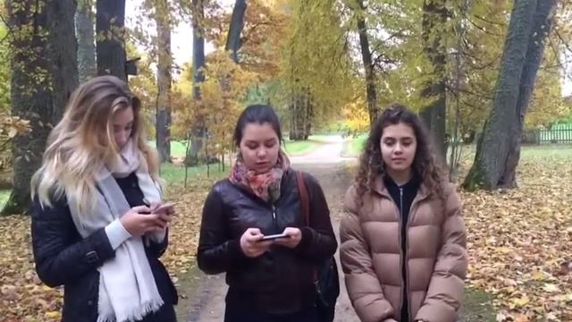 5. «П.А. Осиповой» смотреть онлайн