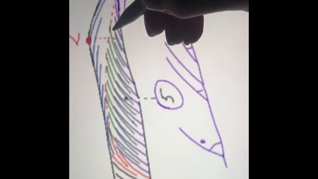 Схема волосков . Microblading brows смотреть онлайн