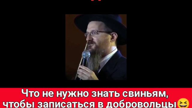 Что не нужно знать свиньям, чтобы записаться в добровольцы😆 смотреть онлайн