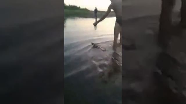 Как лису на крючок поймали или удачная рыбалка смотреть онлайн