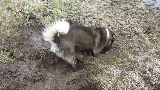 Природа во Всей Красоте