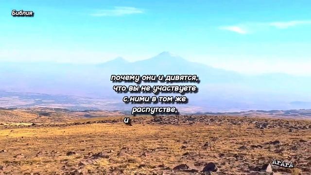 26 октября 2022 г.