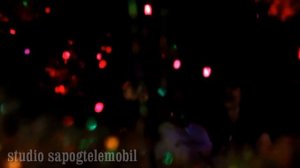 новогодний корпоратив. окуловка.кафе зодиак(studio sapogtelemobil)