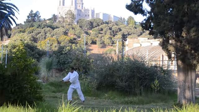 Aikido Annaba Buki Waza Jo Suburi Par Lallali Slimane смотреть онлайн