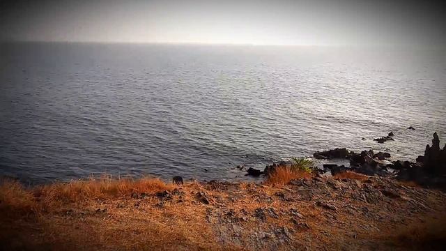 NICE TRIP гора в Арамболе.Индия. Северный Гоа. Арамболь.