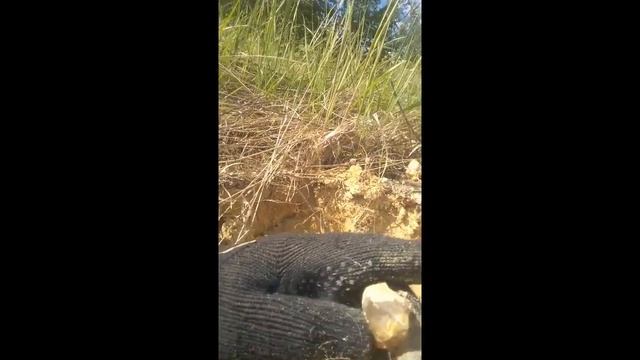 На Астафьевском месторождении горного хрусталя смотреть онлайн