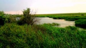 Людмила Зыкина - Полынь