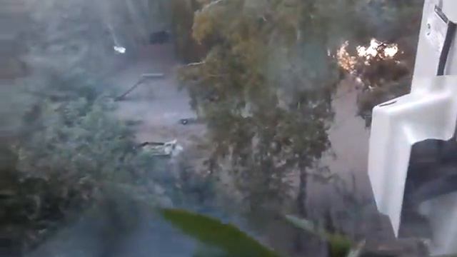 Часы adidas смотреть онлайн