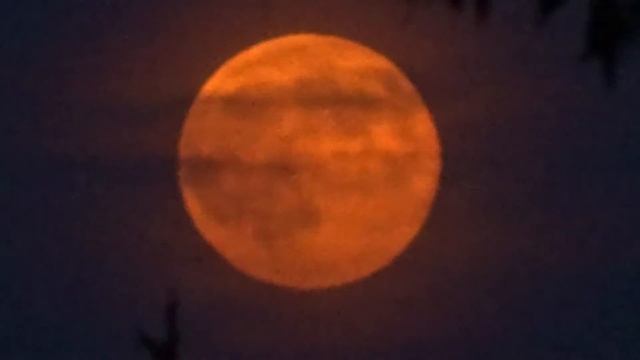 September 7th Super Moon Sony WX 350 Camera смотреть онлайн
