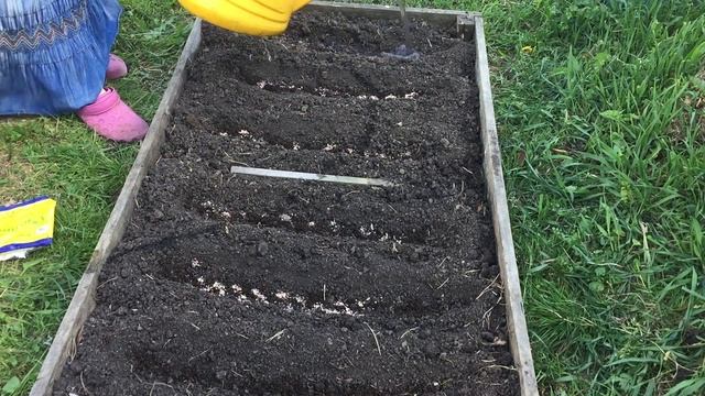 Копать или не копать почву на грядках смотреть онлайн