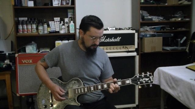 RTS The Ultimate Les Paul Mod PT 1 Burny RLC 55 Review