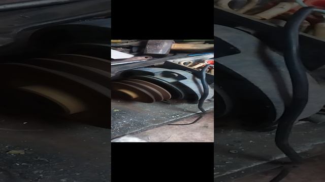 1000023334.mp4