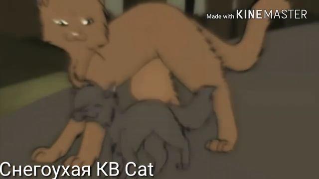 Коты воители клип- "Не рассказывай отцу ". смотреть онлайн