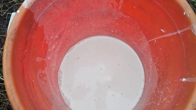 Побелка деревьев . смотреть онлайн