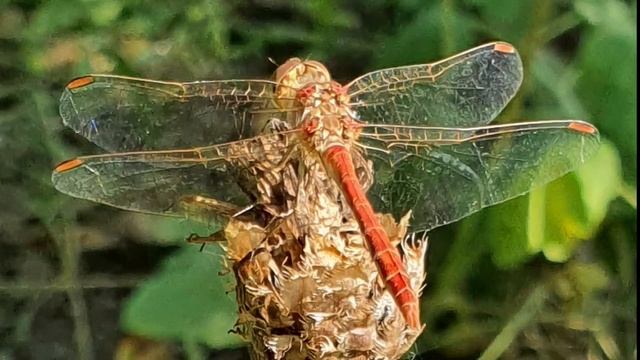 Создайте себе хорошее настроение) смотреть онлайн